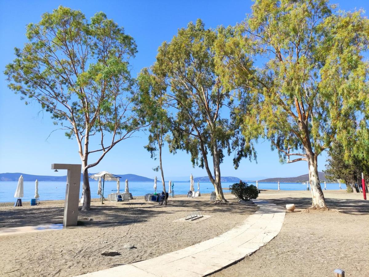 Porto Hydra - Villa Mirani 埃尔米奥尼 外观 照片
