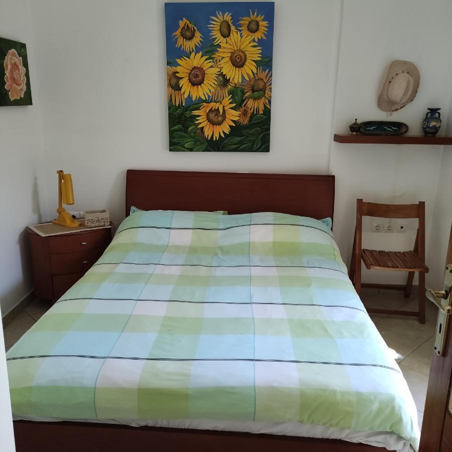 Porto Hydra - Villa Mirani 埃尔米奥尼 外观 照片