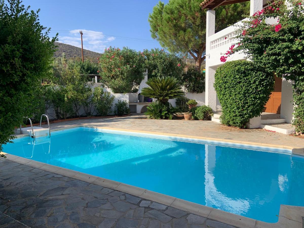 Porto Hydra - Villa Mirani 埃尔米奥尼 外观 照片